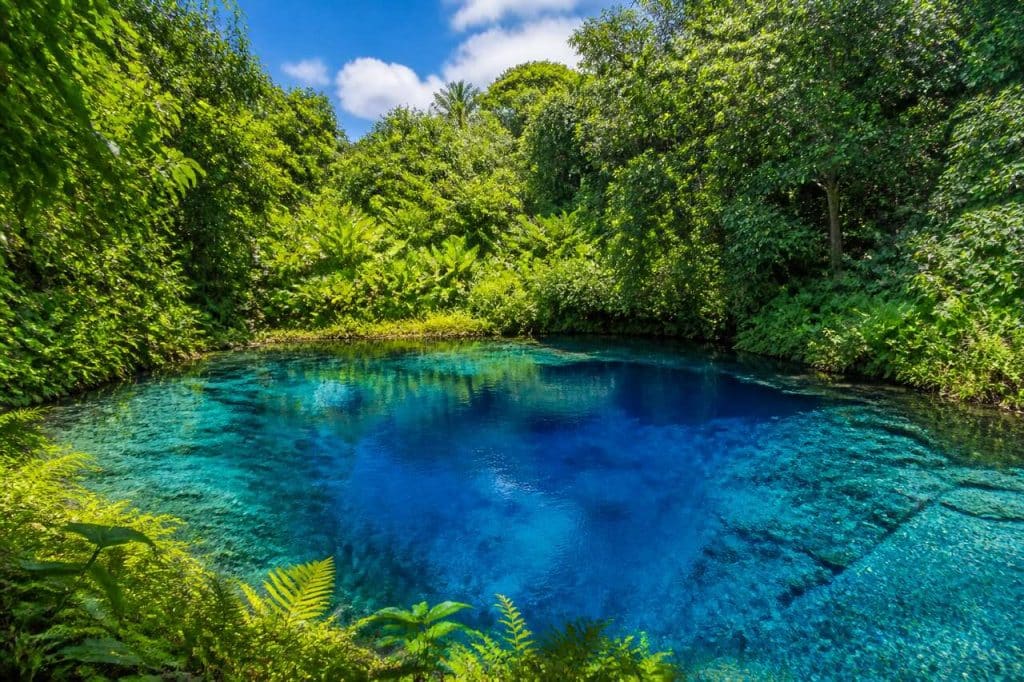 L'œil bleu en Martinique : un trésor naturel à découvrir