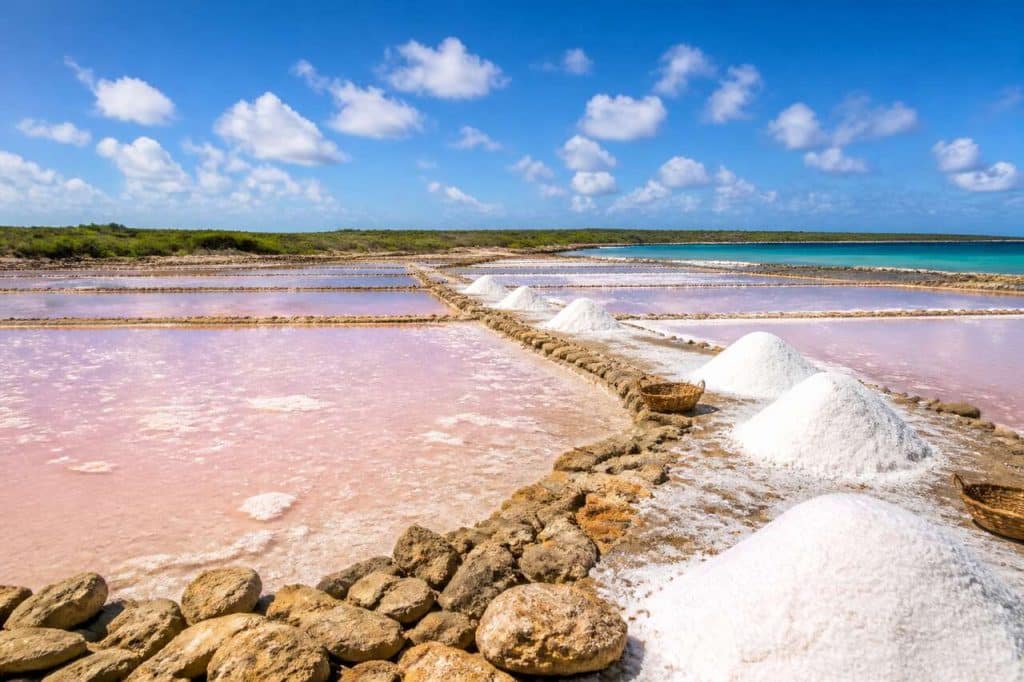 Saint-Martin, terre de sel