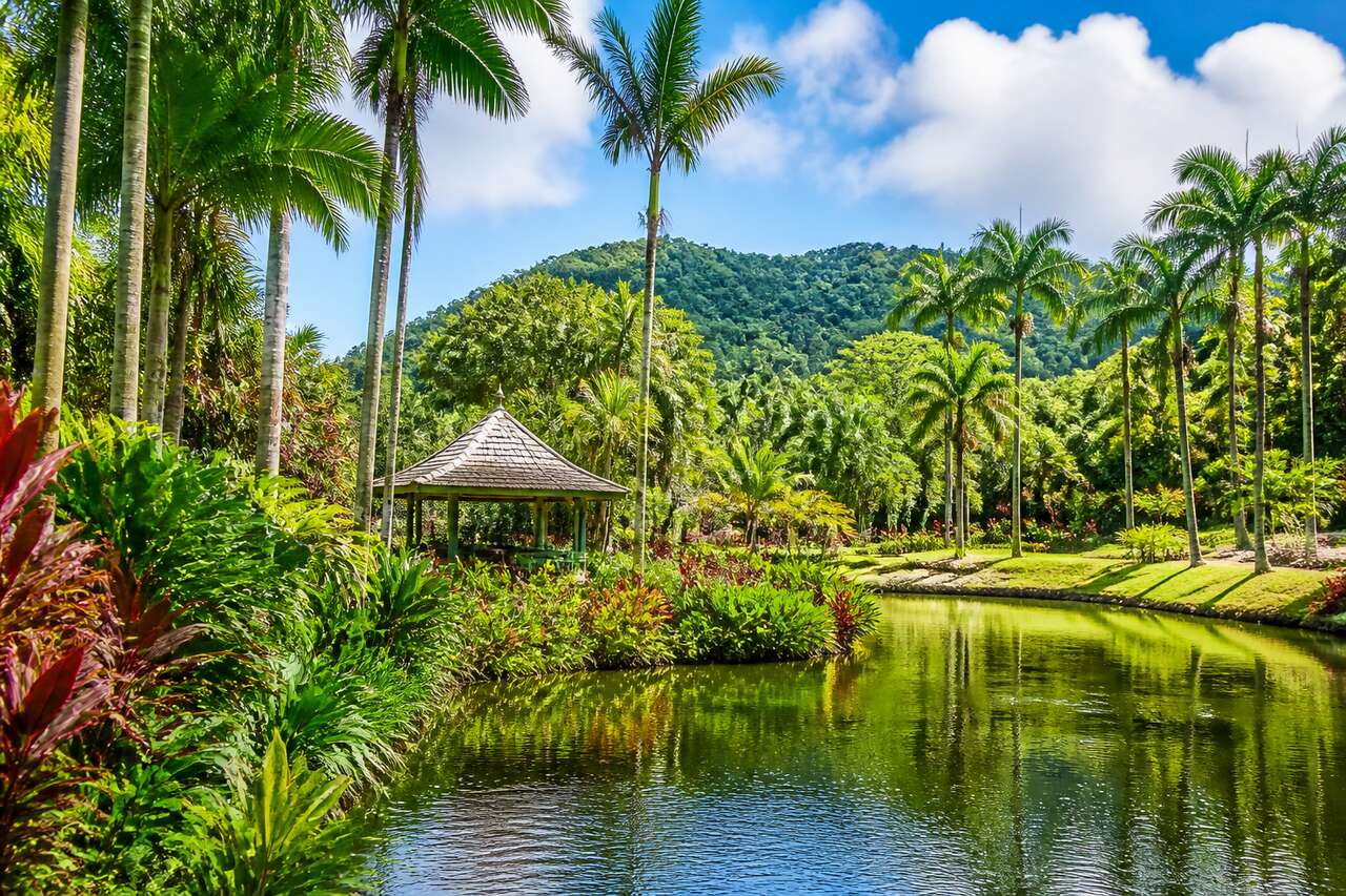 Le jardin de Balata : un trésor botanique en Martinique
