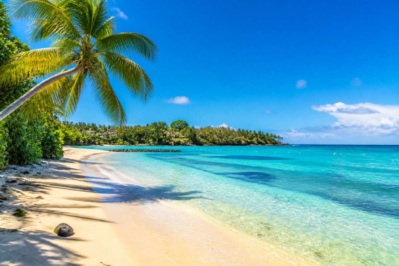 Plage de bois Jolan à Sainte-Anne : un joyau de la Guadeloupe