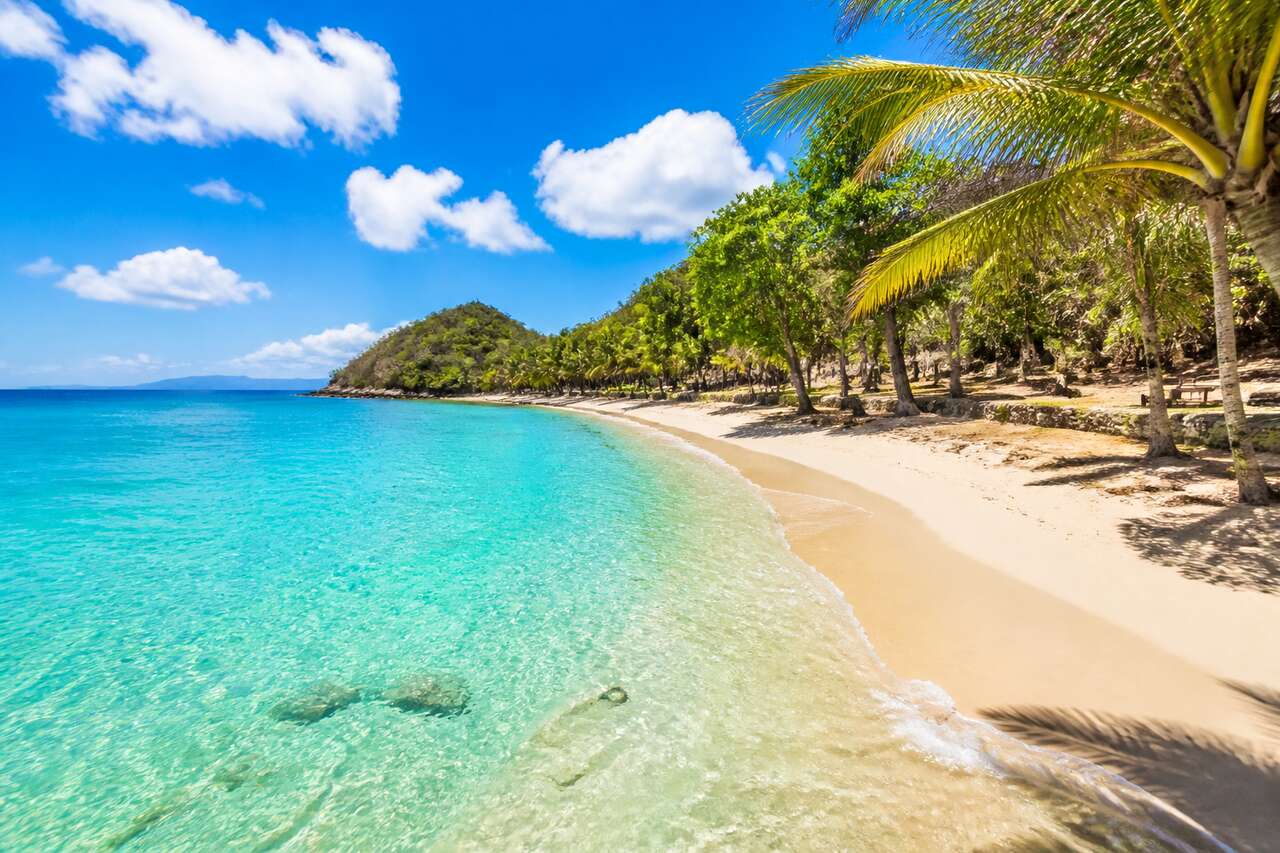 Plage de la Caravelle en Guadeloupe : guide complet pour la visiter