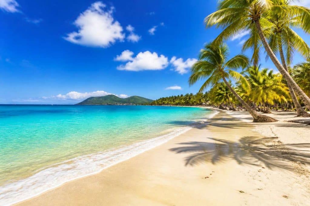 Température de la mer en Martinique : quand se baigner ?