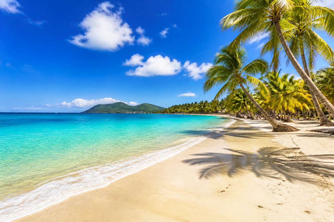 Température de la mer en Martinique : quand se baigner ?