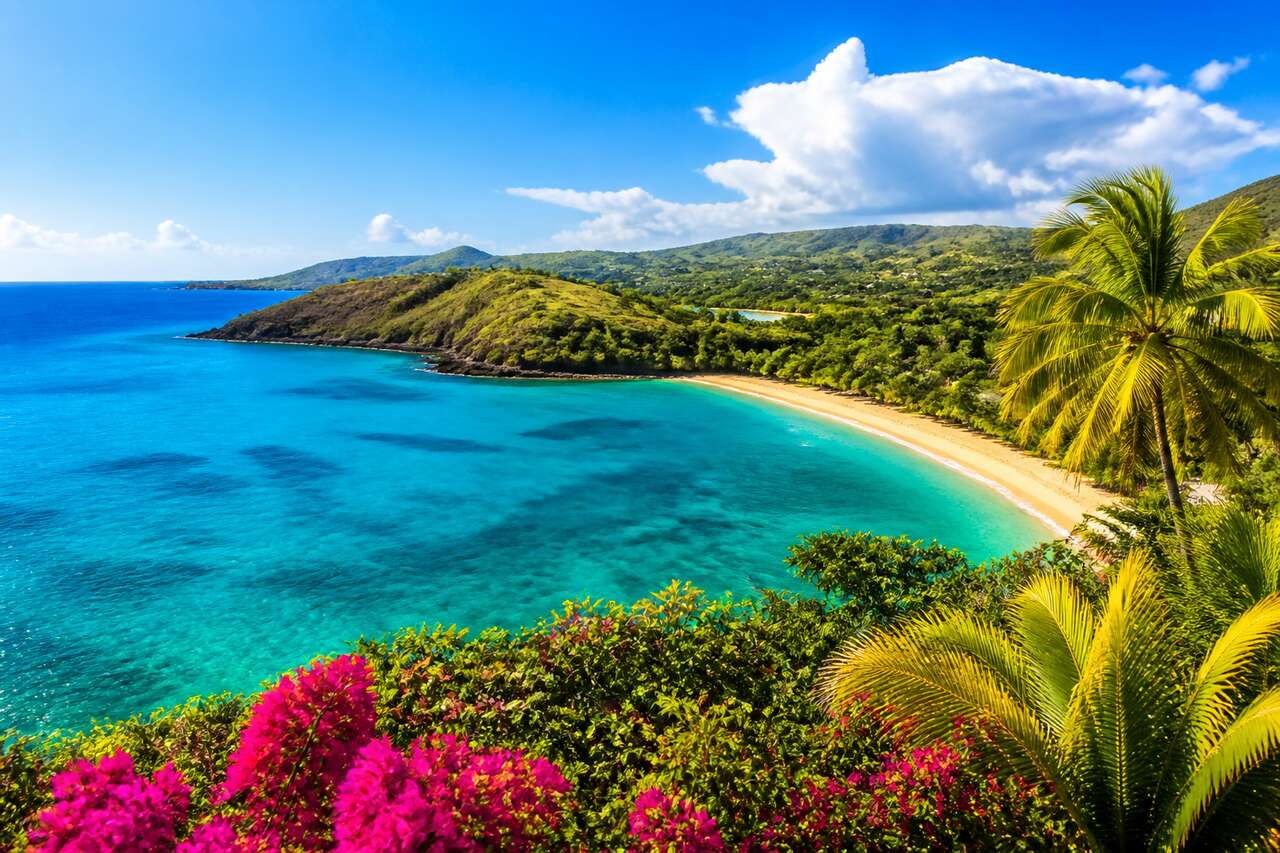 Nord Grande-Terre en Guadeloupe : guide des incontournables