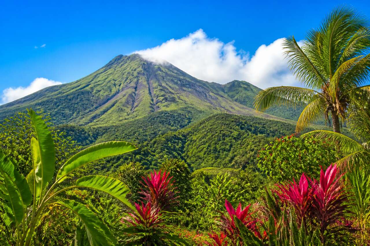Voyager avec Air Caraïbes vers la Guadeloupe : guide pratique