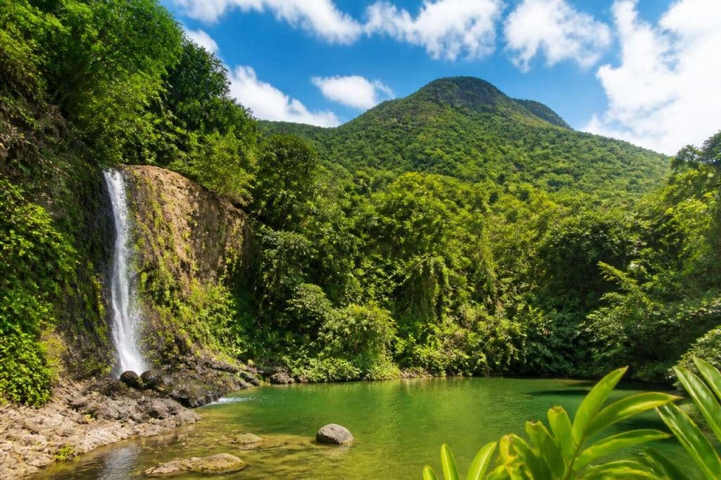 Le domaine d'Émeraude en Martinique : un écrin de nature à découvrir