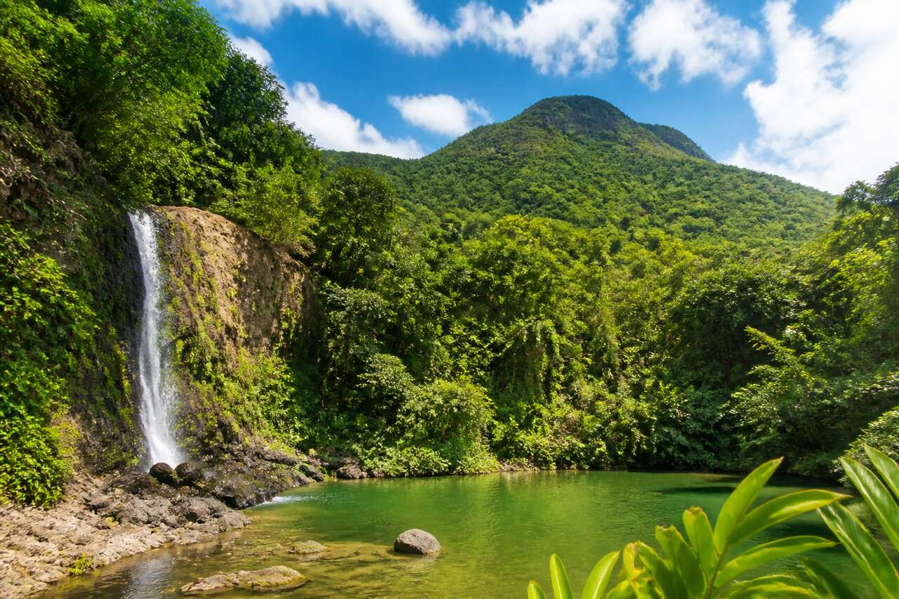 Le domaine d'Émeraude en Martinique : un écrin de nature à découvrir
