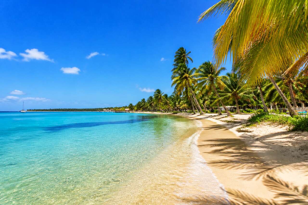 Location à Sainte-Anne en Guadeloupe : guide pour trouver le logement idéal