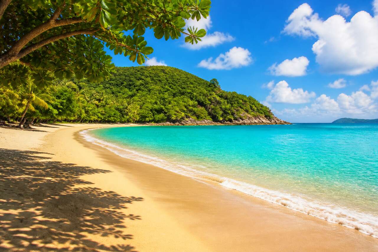 Plage de Grande Anse à Deshaies : un joyau de la Guadeloupe