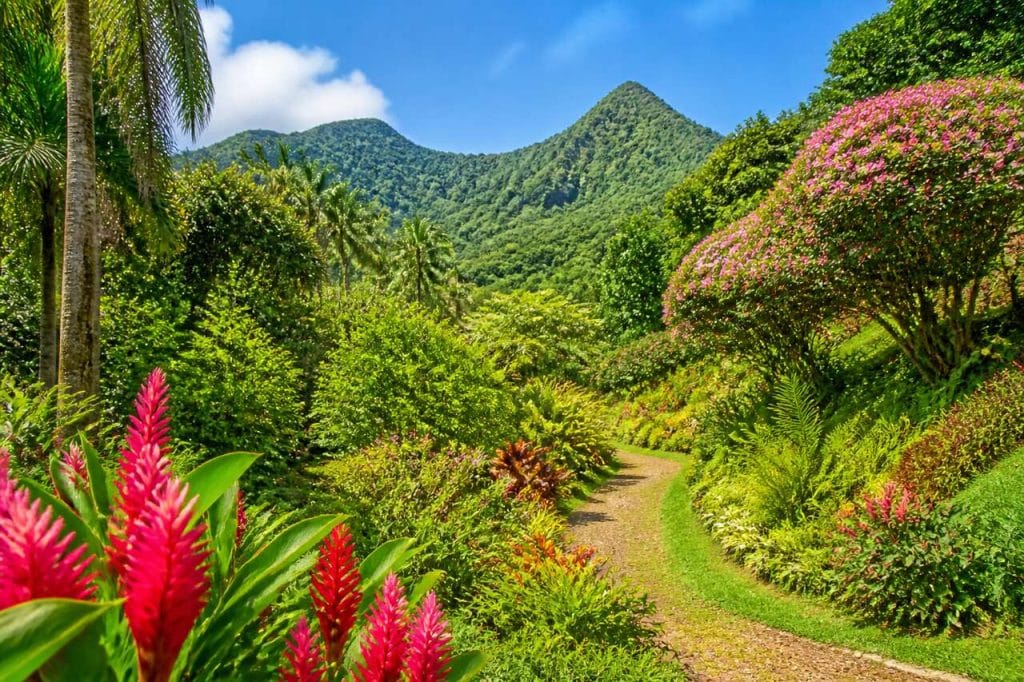 Jardin de Valombreuse : un écrin tropical à découvrir en Guadeloupe