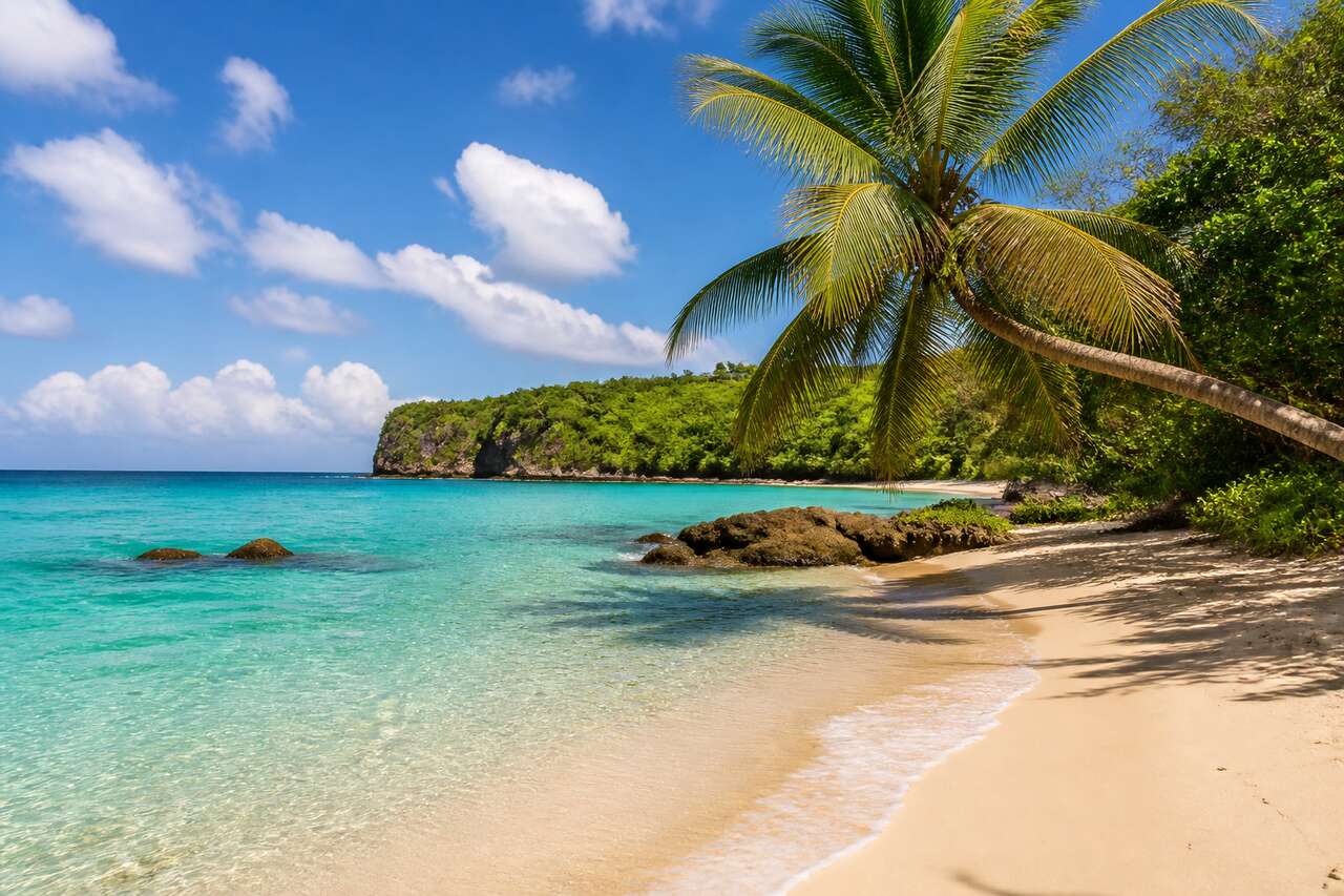 Port-Louis en Guadeloupe : guide complet pour visiter cette commune incontournable