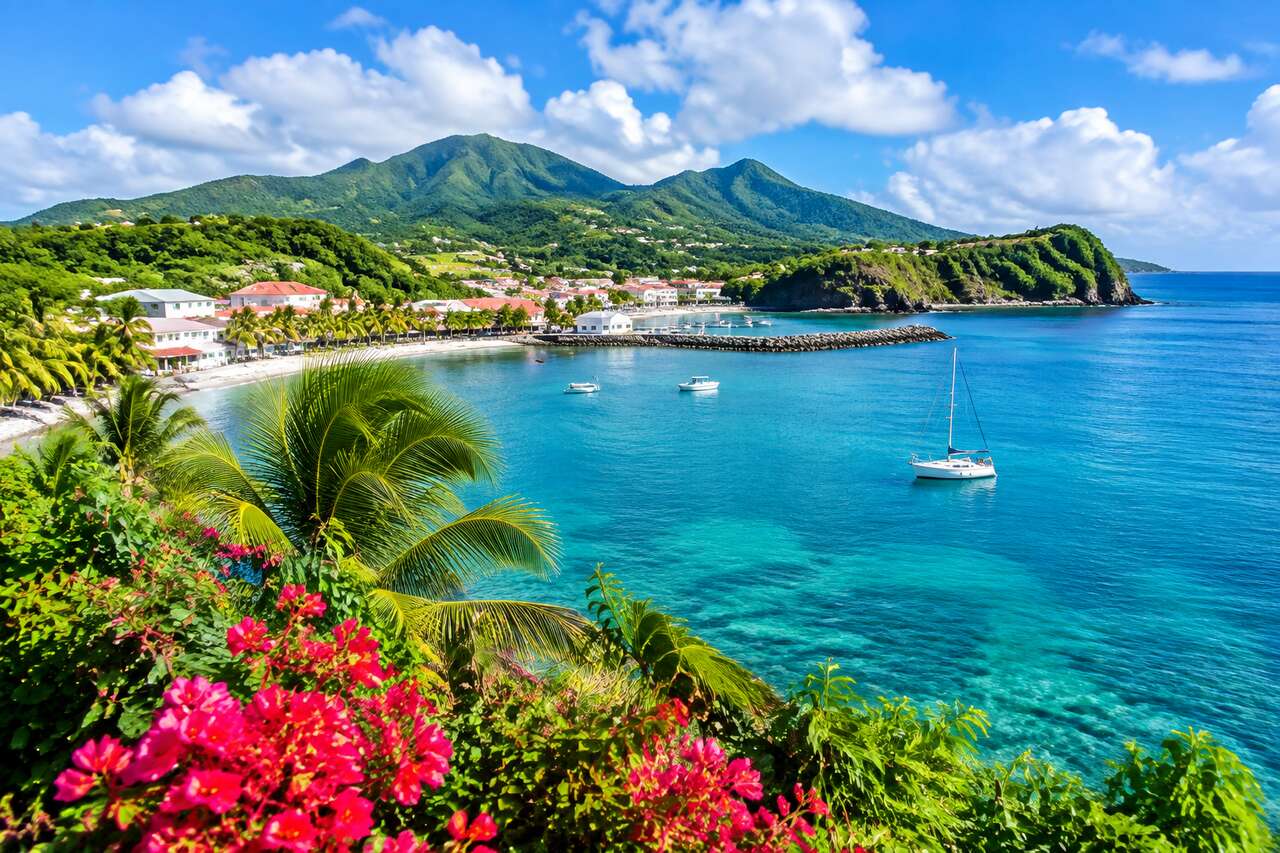 Pointe-Noire en Guadeloupe : guide complet pour découvrir cette commune incontournable