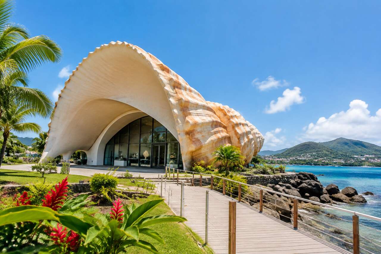 Musée du coquillage et de la mer en Martinique : visite et découverte