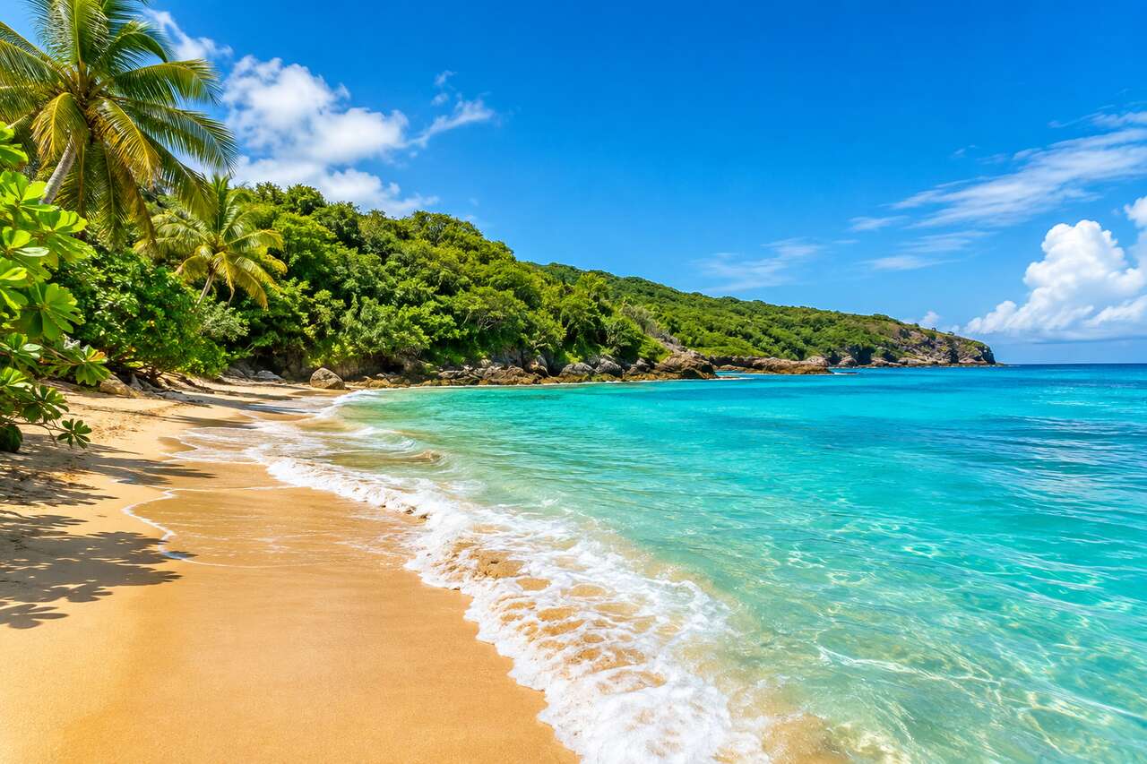 Plage de la Perle en Guadeloupe : guide complet pour la découvrir
